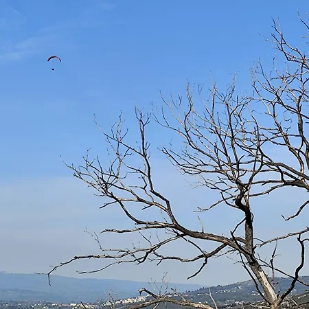 Casinhas Da Aldeia-casa Da Xiquita Hébergement de vacances