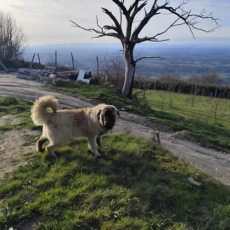 Casinhas Da Aldeia-casa Da Xiquita