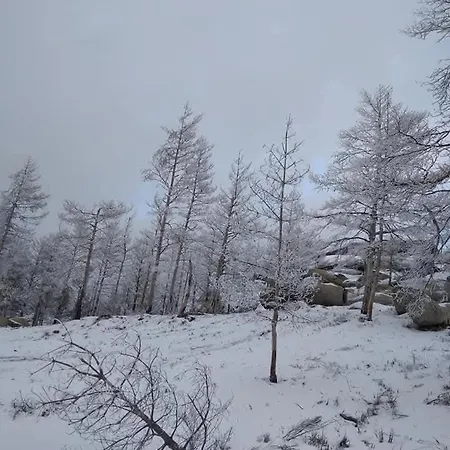 Casinhas Da Aldeia-casa Da Xiquita *