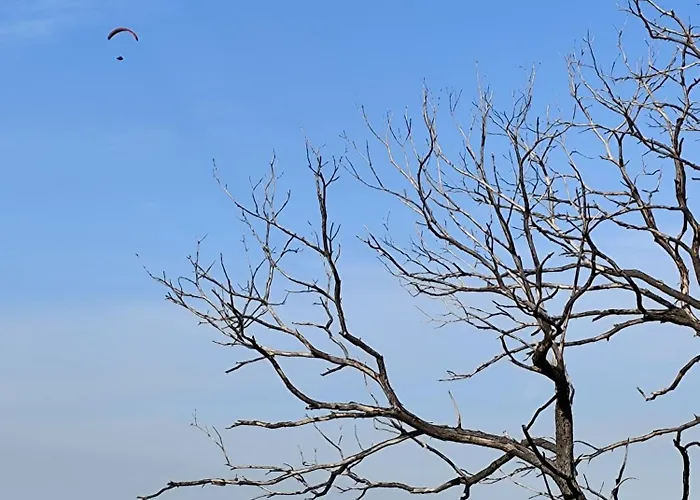 Casinhas Da Aldeia-casa Da Xiquita Feriehus
